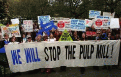 Pulp mill effluent: The Facts 4 Pulp mill effluent: The Facts 4