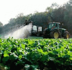 Use physics in spraying 3