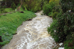 Nature's lash 4 Nature's lash 4