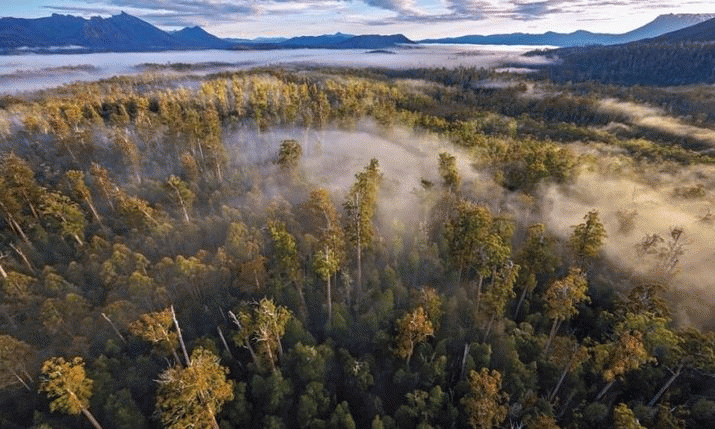 Bob Brown: Wilderness degradation should lead to unique label being dropped 3
