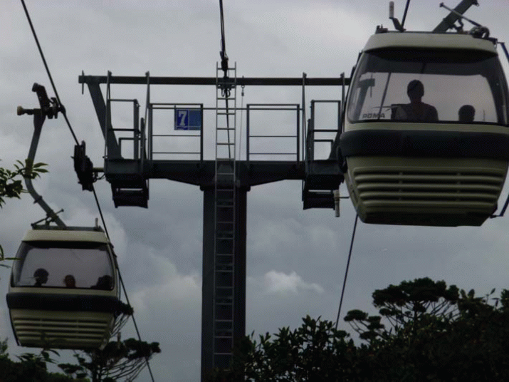 Cable car company to be sold to Canadian investor 3