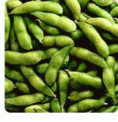 19 Studies Link GMO Foods to Organ Disruption 4 19 Studies Link GMO Foods to Organ Disruption 4