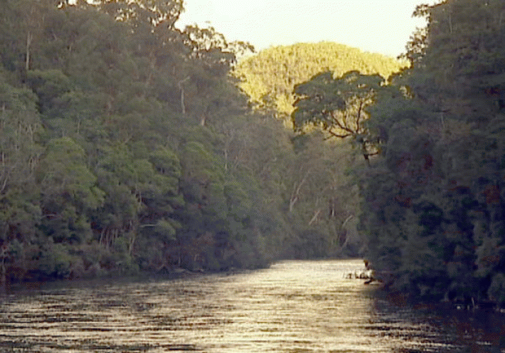 Federal Court extends injunction on Tarkine mine. Awards costs to applicant 3