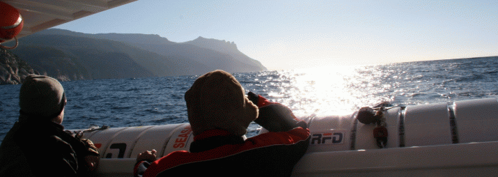 MARIA ISLAND: 'We want to unleash its full potential' 3