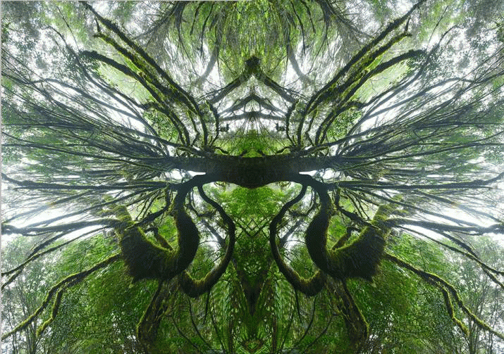 Ted's Tarkine ... 3