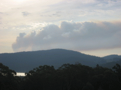 Regeneration burns another reason for forestry transformation 3