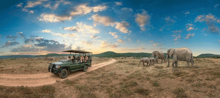 Take a cheap flight to South Africa from Australia - from just $1,449 return 3