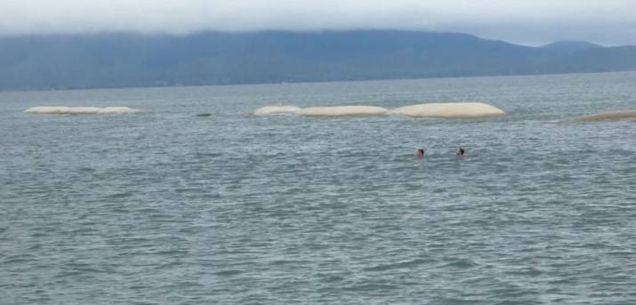 Overheard on the Prosser River Mouth 3
