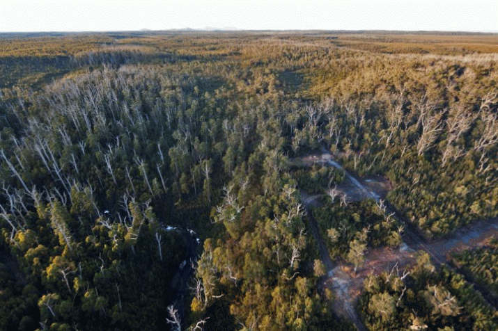 Save the Tarkine applies to Supreme Court for release of secret EPA documents 3