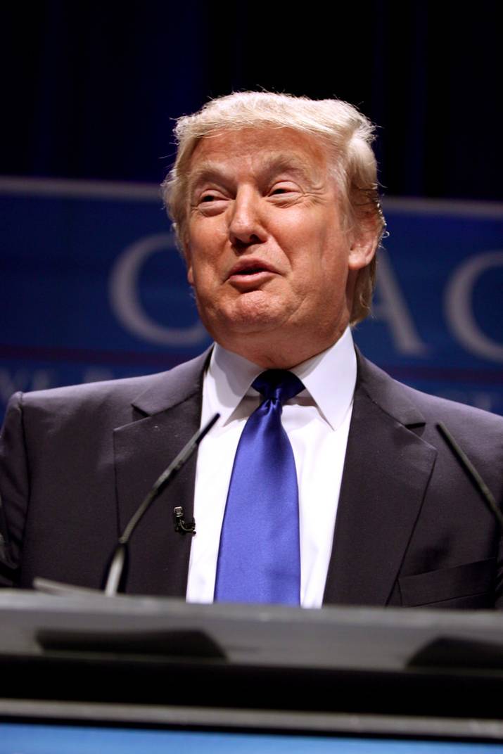 Trump's victory comes with a silver lining for the world's progressives 3