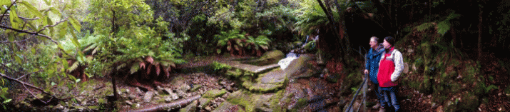 Mother Mountain: The Symphony of Birdsong (16) 3