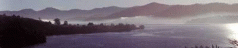 High toxicity in Tasmanian waterways 4 High toxicity in Tasmanian waterways 4