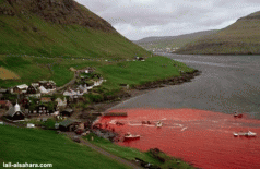 Denmark's shame 5