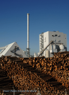 Eden feels the heat over wood-fired power plant 4 Eden feels the heat over wood-fired power plant 4