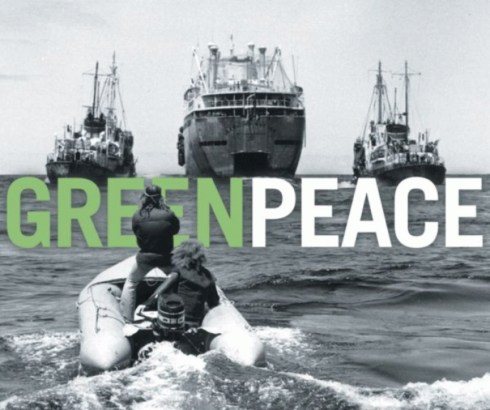 From Green Warriors to Greenwashers 4 From Green Warriors to Greenwashers 4