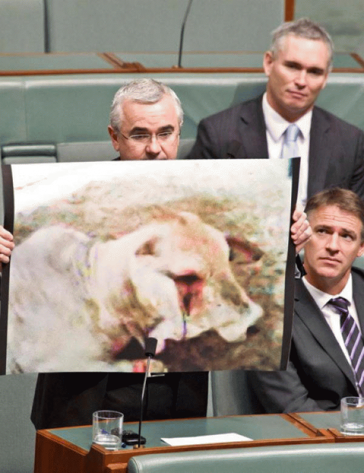 This shocking animal abuse 3