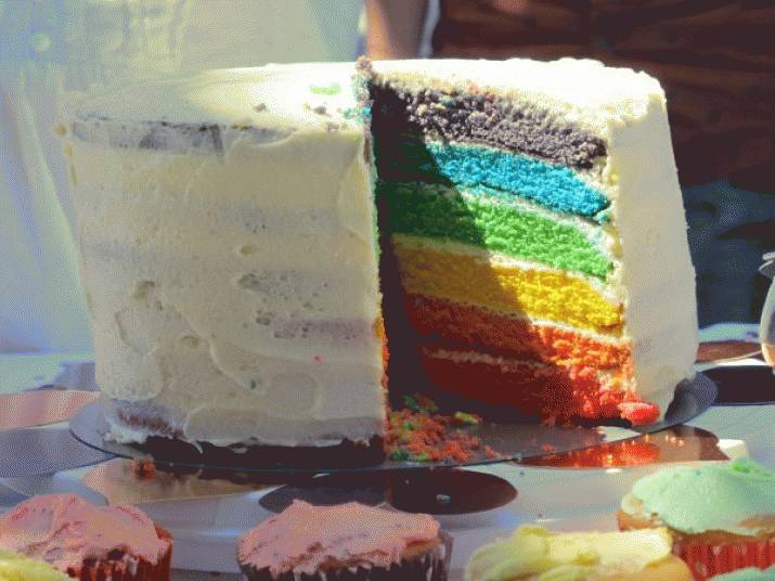 Homosexual Marriage: a plebiscite for late modern times 3