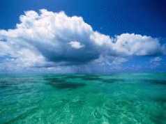 Marine extinction threat ... as study sinks Libs' tree-planting remedy 3