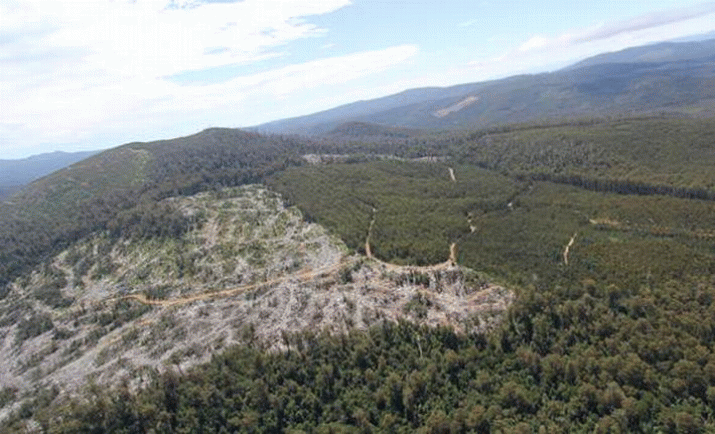 Christine Milne: Government’s World Heritage lies exposed in Senate hearing 3