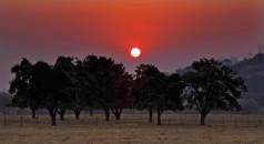 Meander Valley Council joins the philistines 3