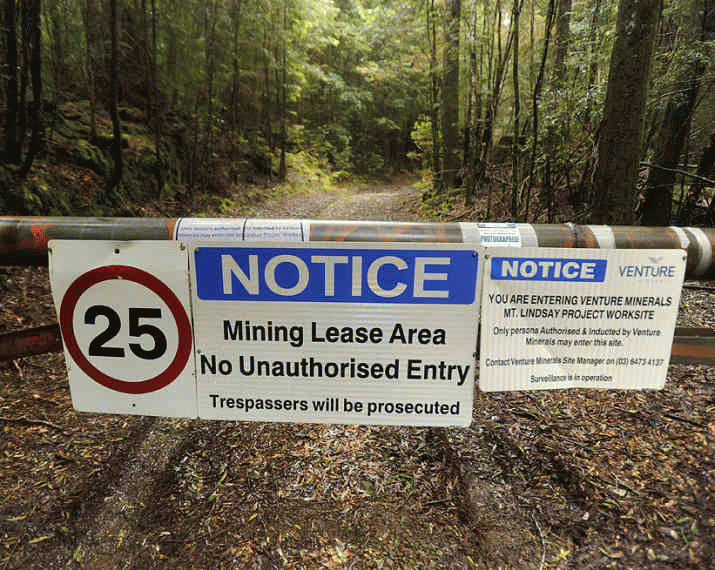 Venture Minerals takes aim at Rainforest Wonderland 3