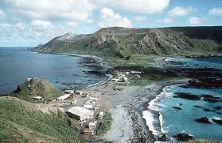 Macquarie Island declared pest free after 7-year eradication program 4 Macquarie Island declared pest free after 7-year eradication program 4