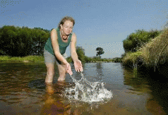 Is all Tasmania poisoned? 6 Is all Tasmania poisoned? 4