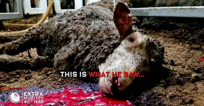 'Maintain The Rage ... Flash Ban Live Export Rally' 3
