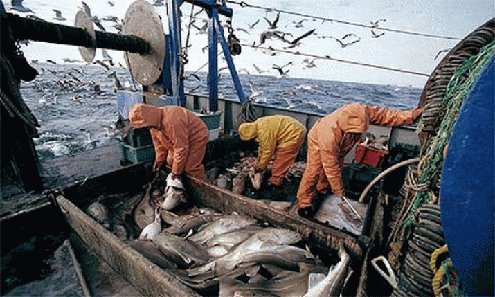 What's The Catch? 3