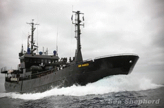 Japanese whalers in spy flights; third ship joins protest 3