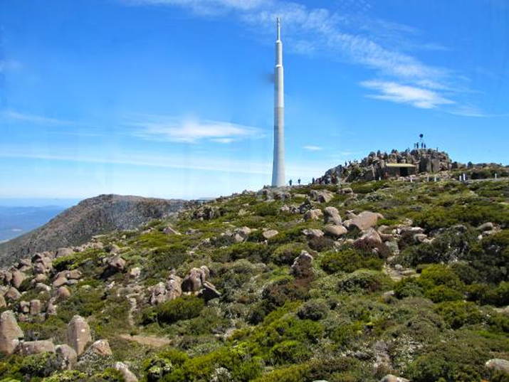 That 1000-pound Gorilla on Mount Wellington: An Occupational Health and Safety issue 6 That 1000-pound Gorilla on Mount Wellington: An Occupational Health and Safety issue 4
