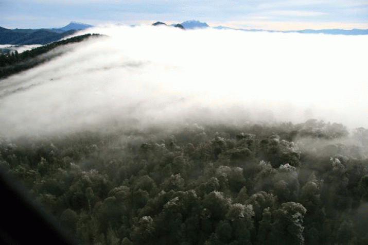 'Science the biggest loser from Tasmanian World Heritage decision' 3