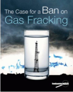 The Fracking Truth 4 The Fracking Truth 4