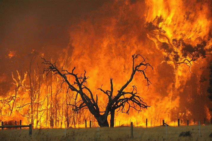 Climate Change solution by 2020! 6 Climate Change solution by 2020! 4