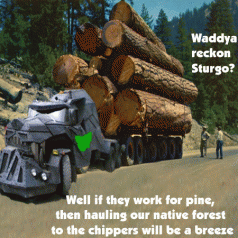 TeamBartlett's $1.2m for the forestry industry 3