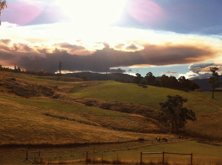 Air quality ... courtesy of Forestry Tasmania ... 3