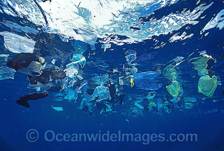 More plastic in the ocean ... by weight ... than fish ... 3