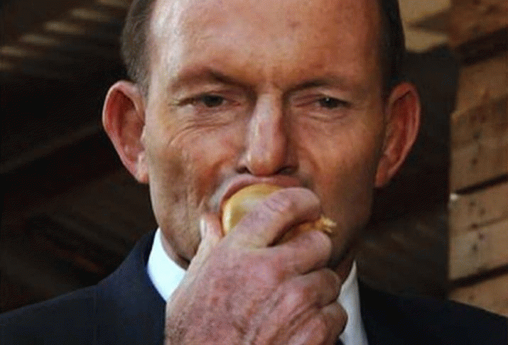 NATION: Abbott's kamikaze attack on Turnbull threatens to destroy both 3