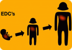 A list of Australia's most dangerous pesticides ... 6 A list of Australia's most dangerous pesticides ... 4