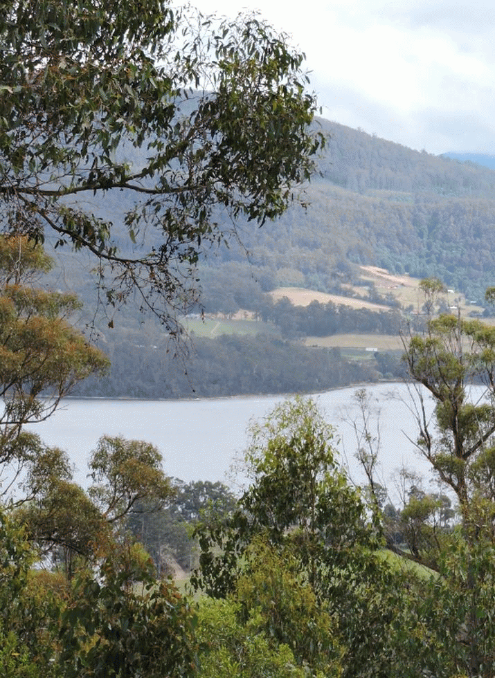 Huon Valley Guessing Games: The Waterloo Bay fiasco 3
