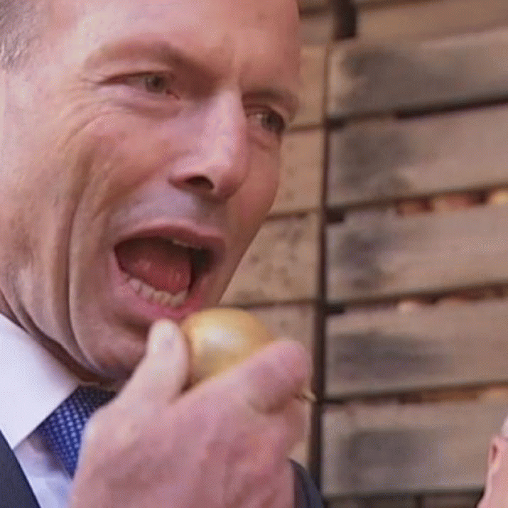 Tony Abbott's New Year's Dishonour List 3