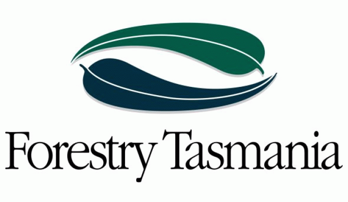 Forestry’s FSC Application Decision Delayed 3
