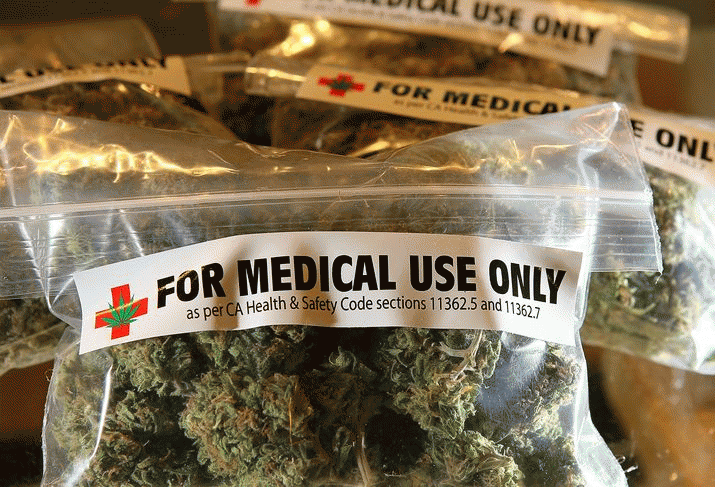 My campaign for medicinal cannabis 3