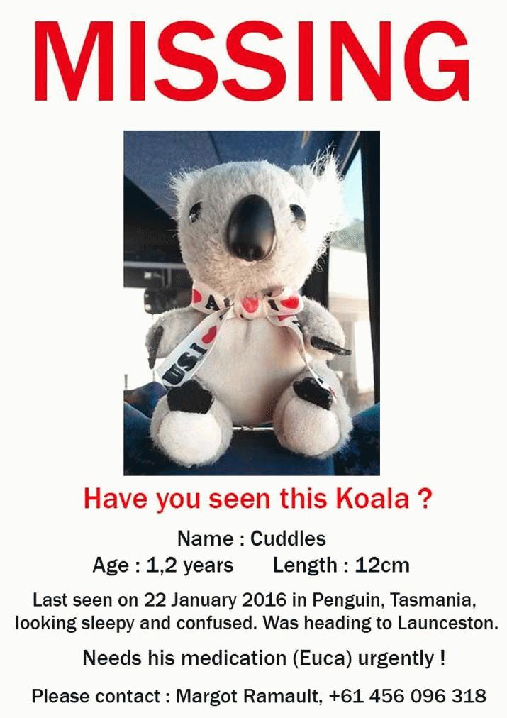 Have you seen this bear? 4 Have you seen this bear? 4