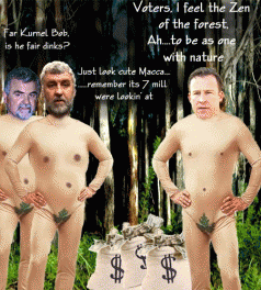 Libs promise $7 million for forestry 3