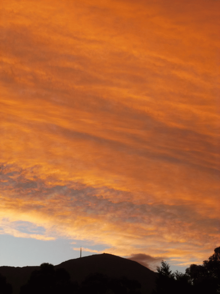 Mt Wellington: Key Points raised from Public Forum on Feb 26th 3