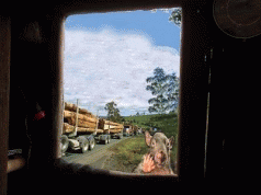 Welcome to the Third World, Tasmania 3
