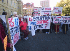 Dr McGinity in mediation over complaints 3