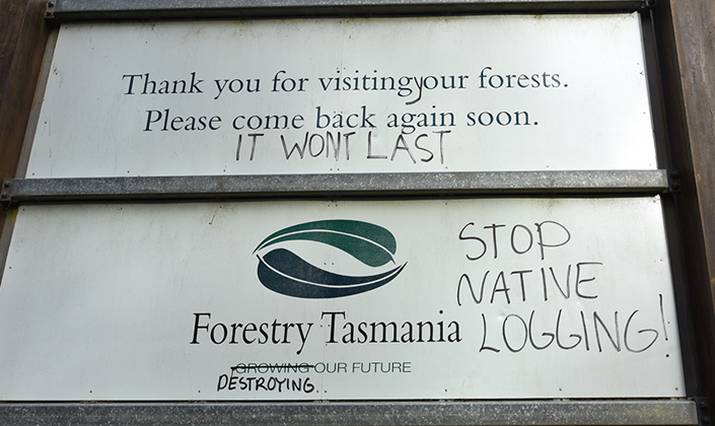 Welcoming tourists to our Southern Forests ... 3