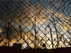 Christmas Island asylum seekers desperate to escape hell 4 Christmas Island asylum seekers desperate to escape hell 4